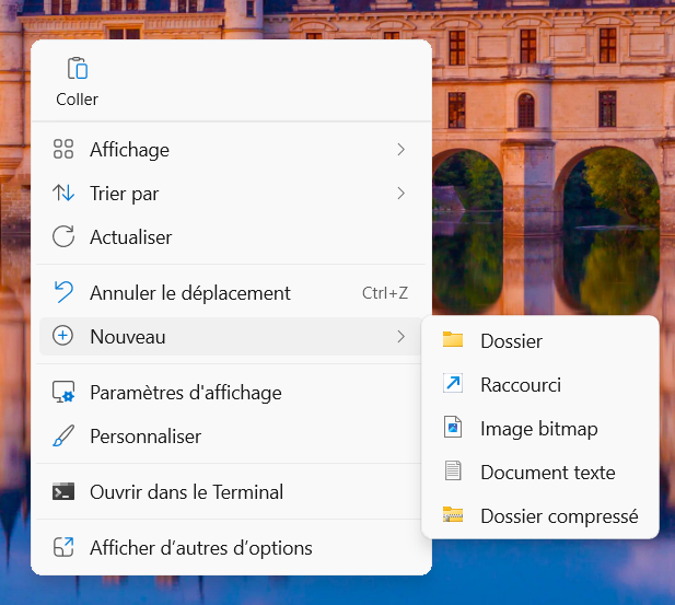 Capture d'écran